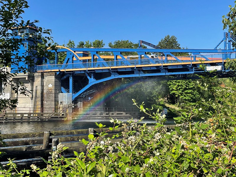 A photo of the Fremont bridge as it is getting hosed down with water during a heatwave to keep the steel from expanding. In the foreground, there's a rainbow in the spray of water. 