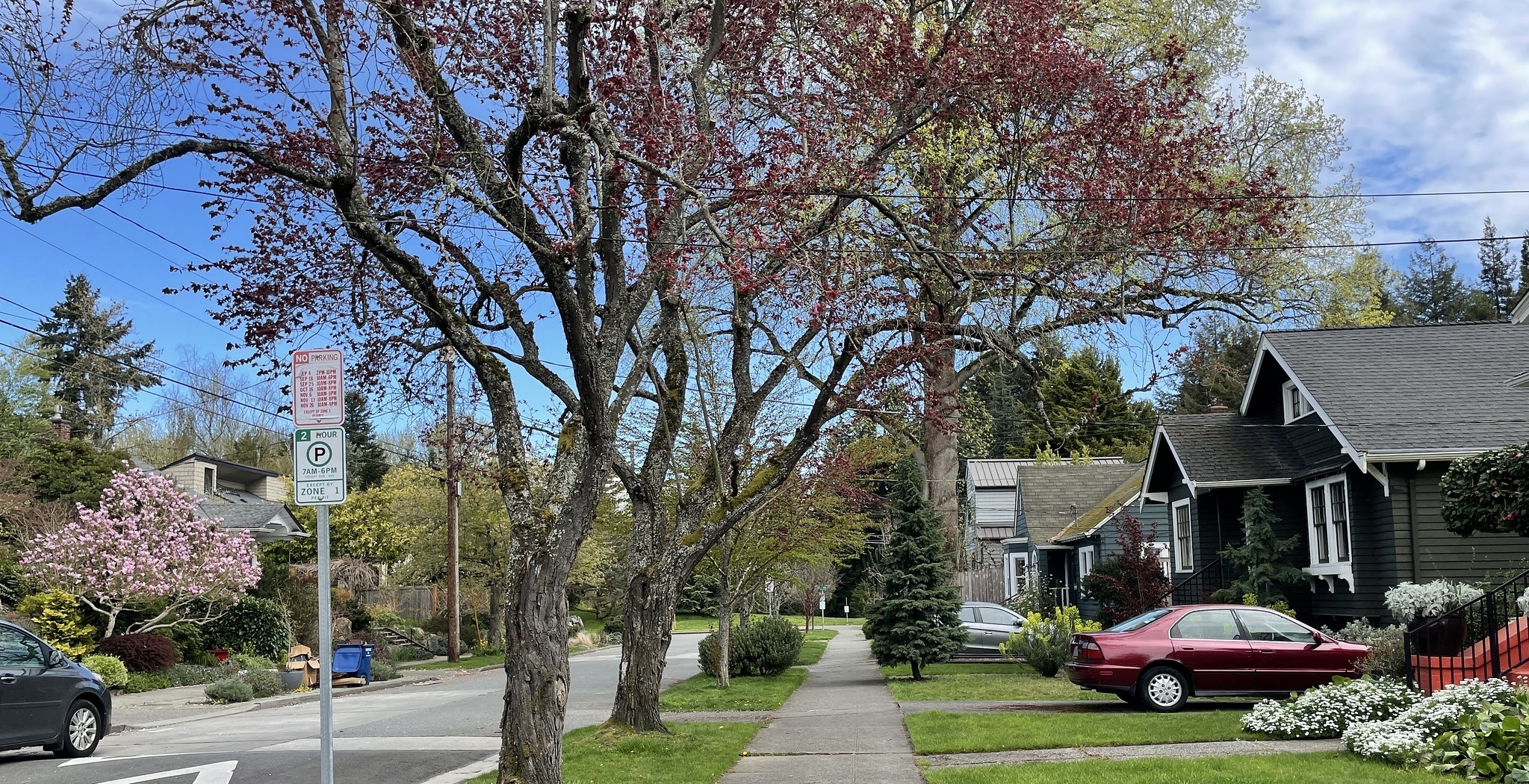 An example of a placement of an RPZ sign on a neighborhood street in Montlake.