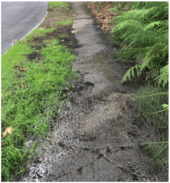 Deteriorating sidewalk with cracks and gaps adjacent to landscaping. 