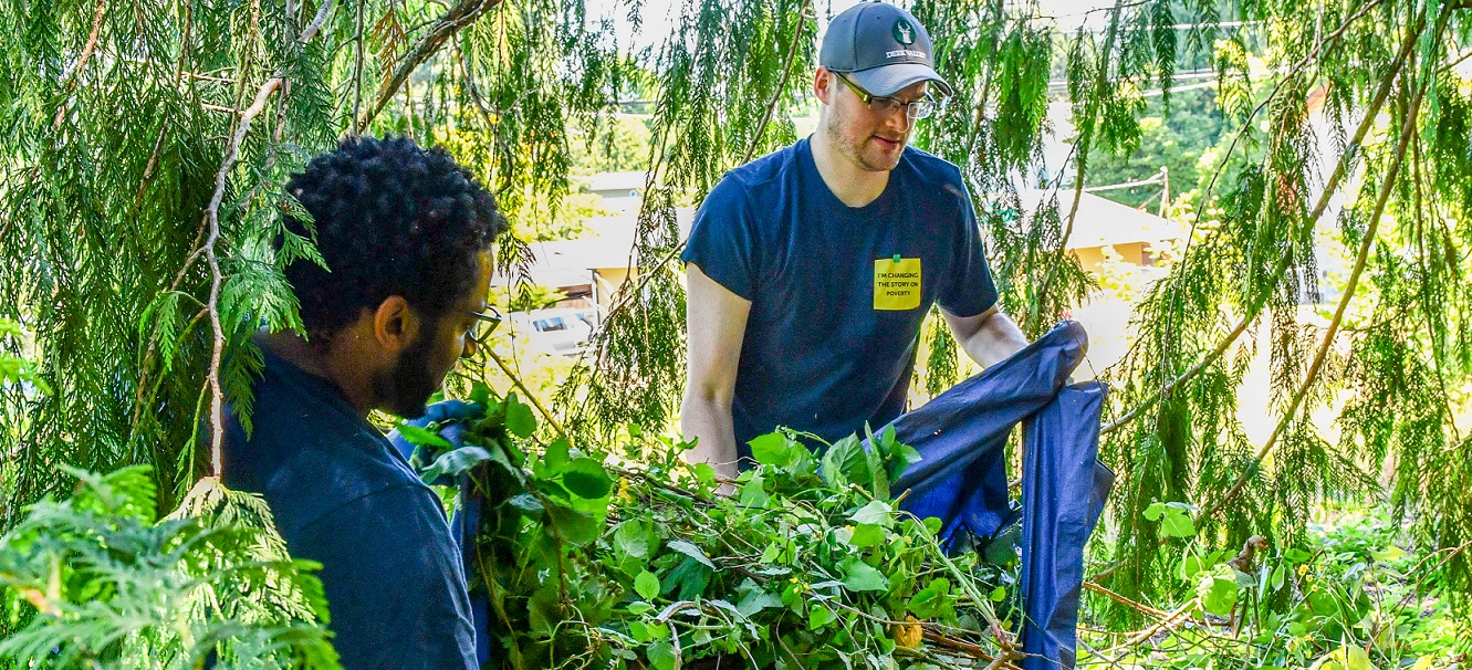 Restoring The Urban Forest Trees Seattle Gov