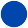 Blue color swatch