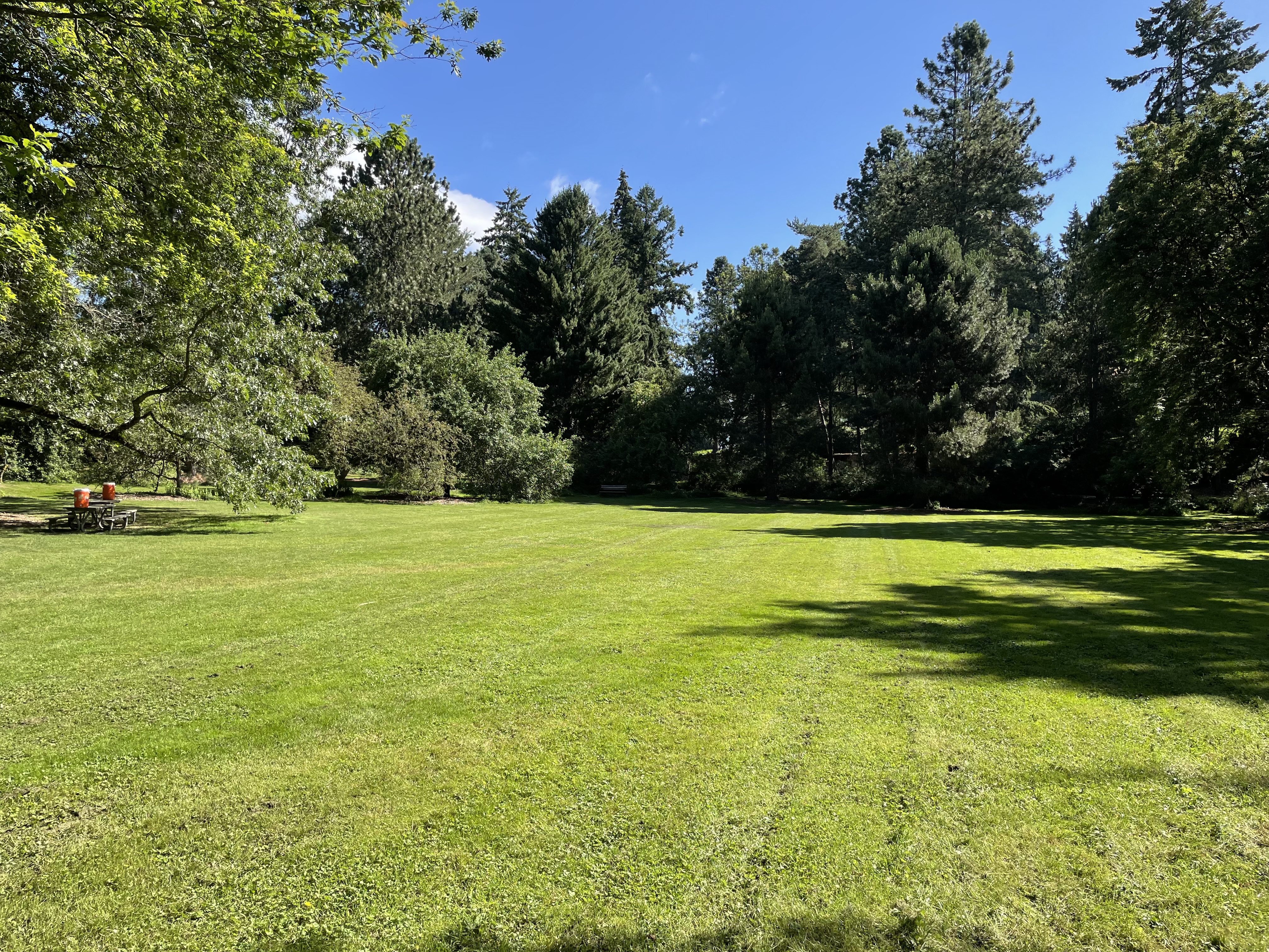 Green grassy meadow at Washington Park Arboretum