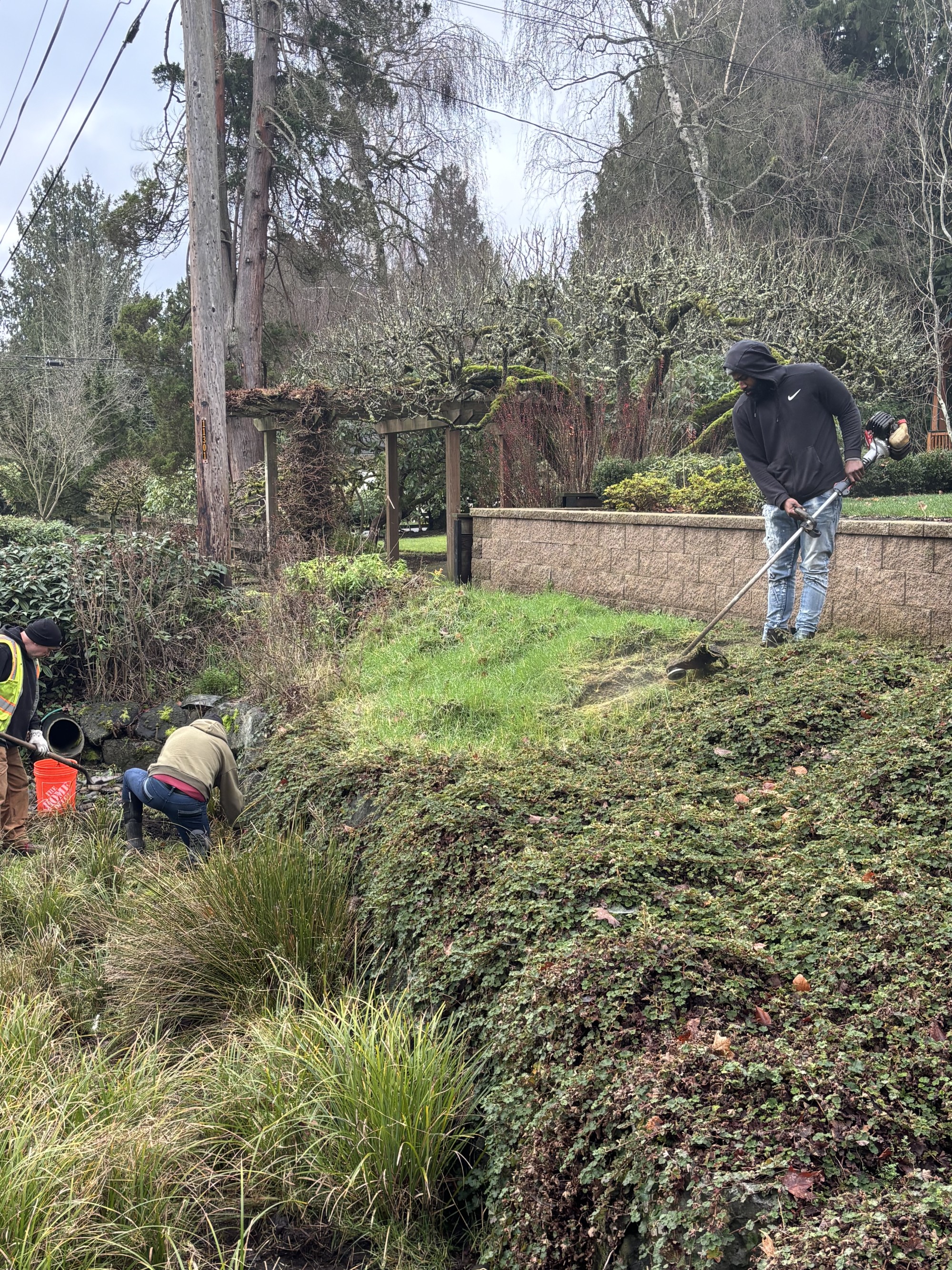 Seattle Conservation Corps members trim back plants in the front yard of a home