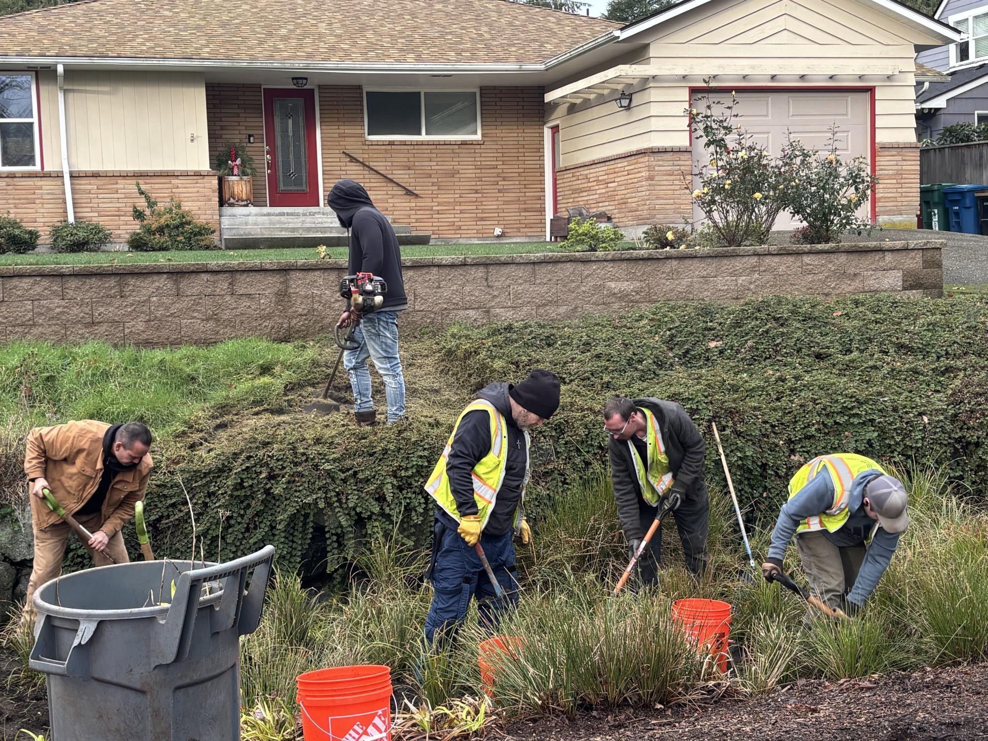 A team of Seattle Conservation Corps members perform vegetation management in front of a single family home.