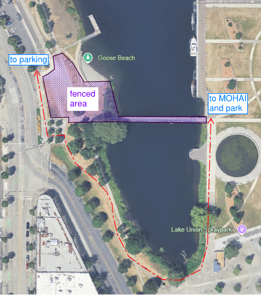 A satellite map of the Goose Beach area in Seattle with colored overlays and directional labels. A purple shaded region marked &ldquo;fenced area&rdquo; covers the west side of the waterfront near Westlake Avenue N. Two blue labels with arrows indicate walking directions: one labeled &ldquo;to parking&rdquo; pointing west toward the street, and another labeled &ldquo;to MOHAI and park&rdquo; pointing east toward the Museum of History and Industry. A red dashed line shows an alternate walking route that curves south along the shoreline, passing the Lake Union Spraypark before looping back north toward the park.