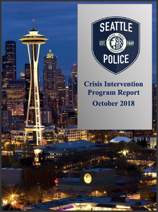 Crisis Intervention Program Report