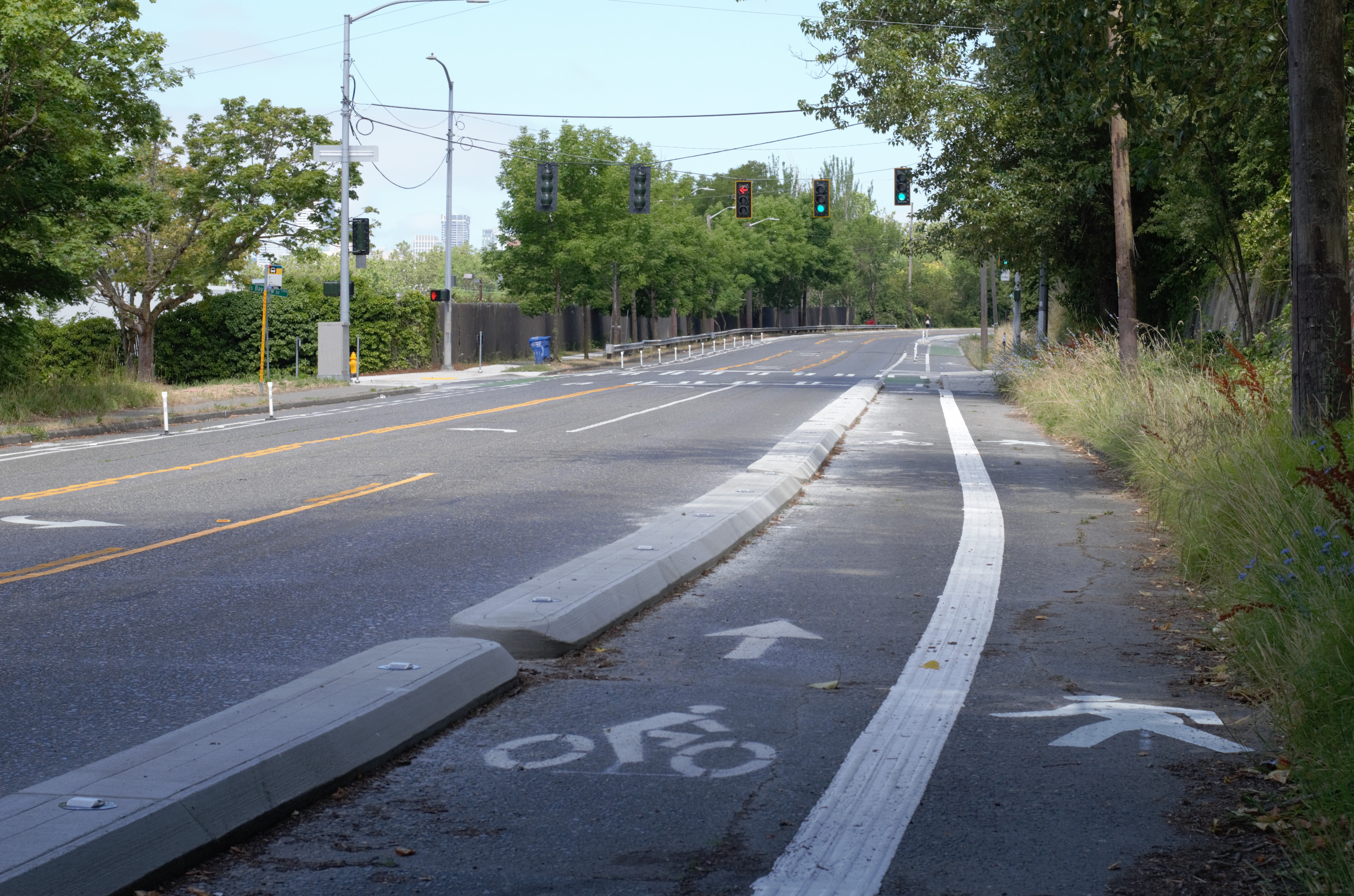 Shared path with raised pavement markings separating cyclists from pedestrians on the east side of MLK Jr Way S between S McClellan St and S Bayview St.