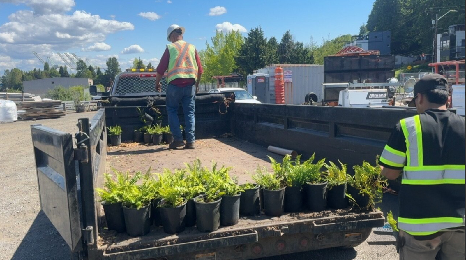 Crews unload native plants that will be planted throughout the project area as part of landscaping efforts, May 2025