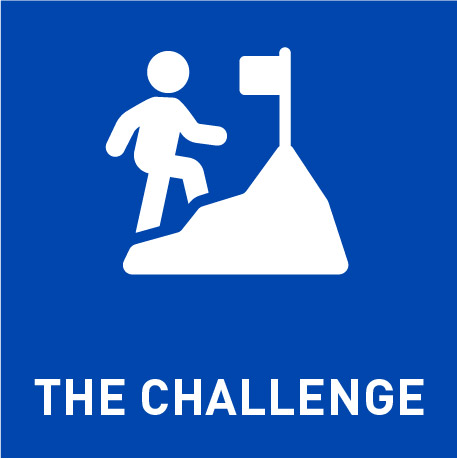 Jump to the Challenge section