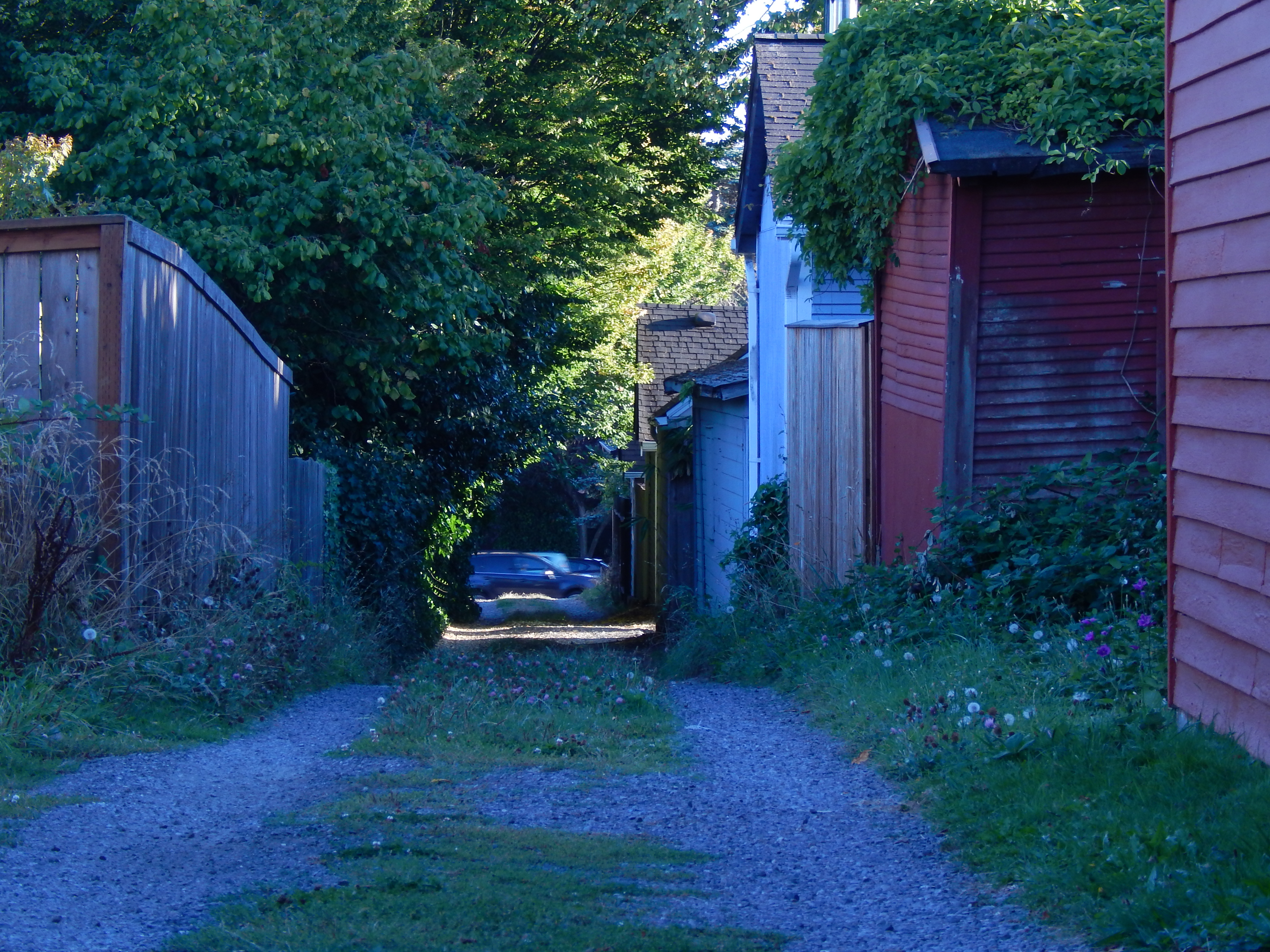 Photo of alley