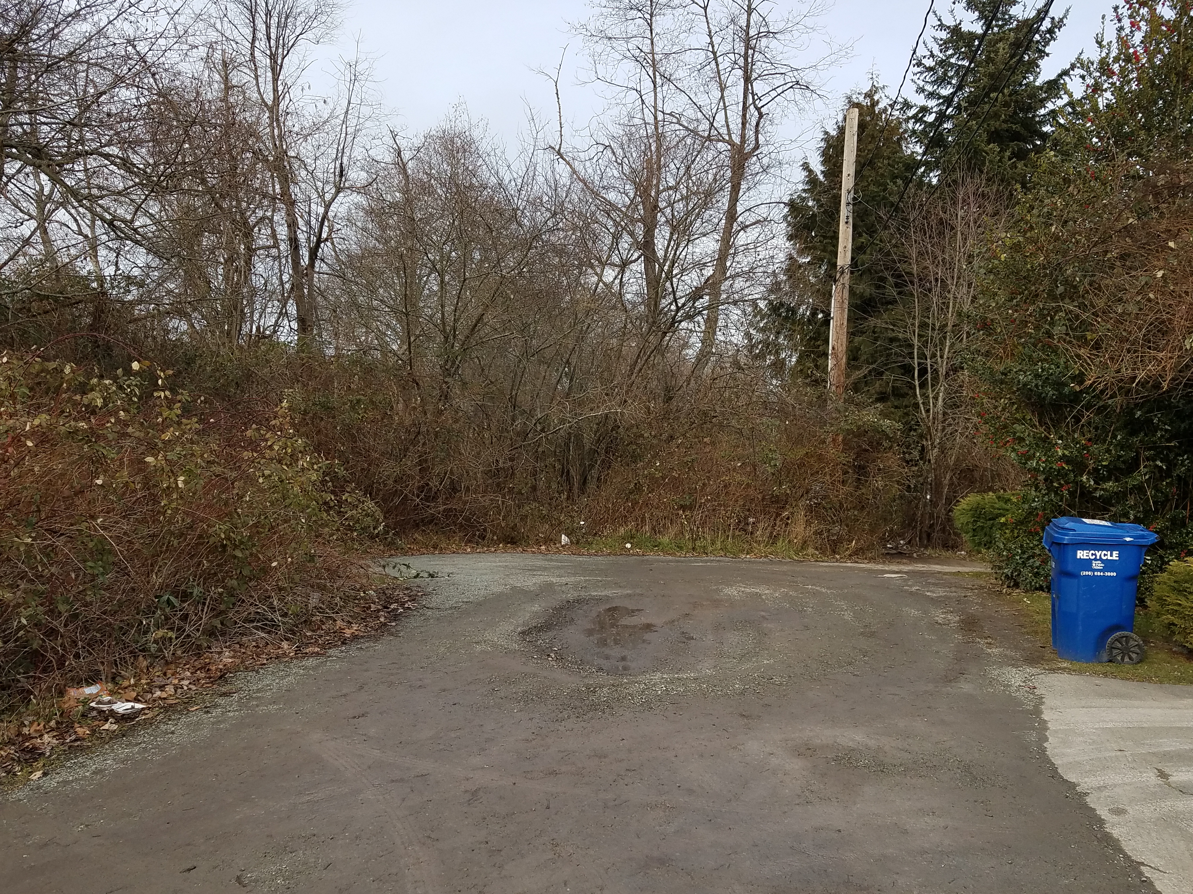 26th Ave SW walkway