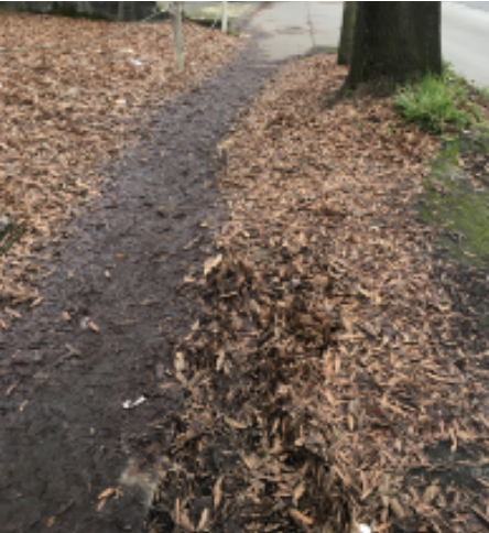 Sidewalk covered with deteriorating, amber-colored leaves 