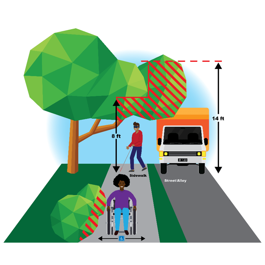 보도를 위해 필요한 초목 제거 구역을 보여주는 조경, 나무, 보도, 도로 및 이동 교통의 횡단면 그래픽. 보도에는 지팡이를 짚은 사람과 휠체어를 탄 사람이 있음. 도로에는 트럭이 있음 