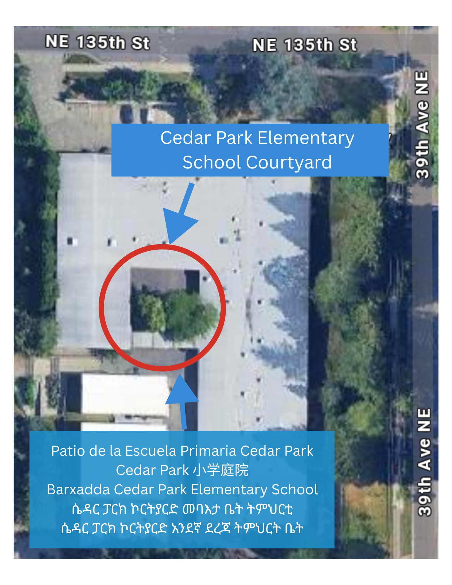Cedar Park Elementary School Courtyard is the meeting place. Cedar Park is on the corners of NE 135th St and 39th Ave NE