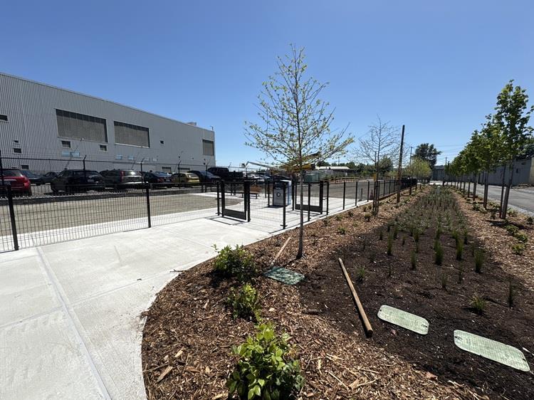 Image shows the new Georgetown Off-Leash Dog Area