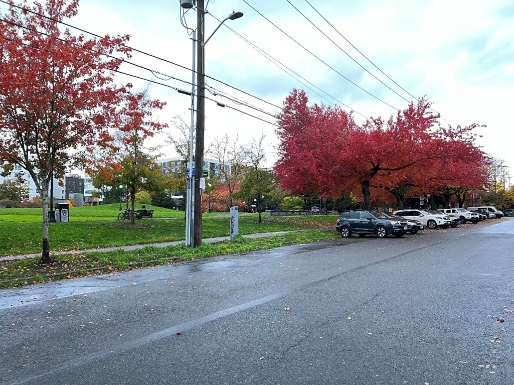 Two of the locations where SDOT will plant a total of three new trees to create a more consistent tree-lined edge of Cal Anderson Park. 