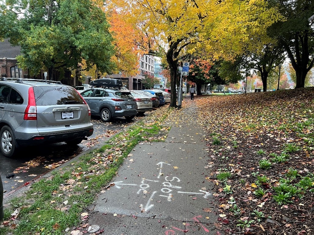 Two of the locations where SDOT will plant a total of three new trees to create a more consistent tree-lined edge of Cal Anderson Park. 