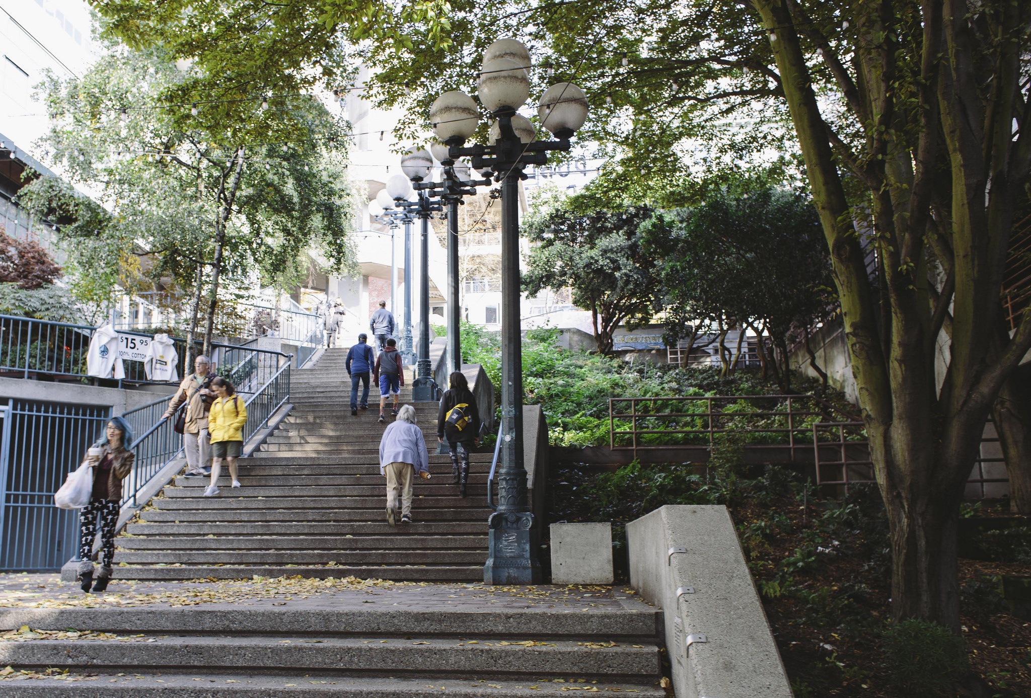 Image of staircase with railing up a steep hill with trees and lights