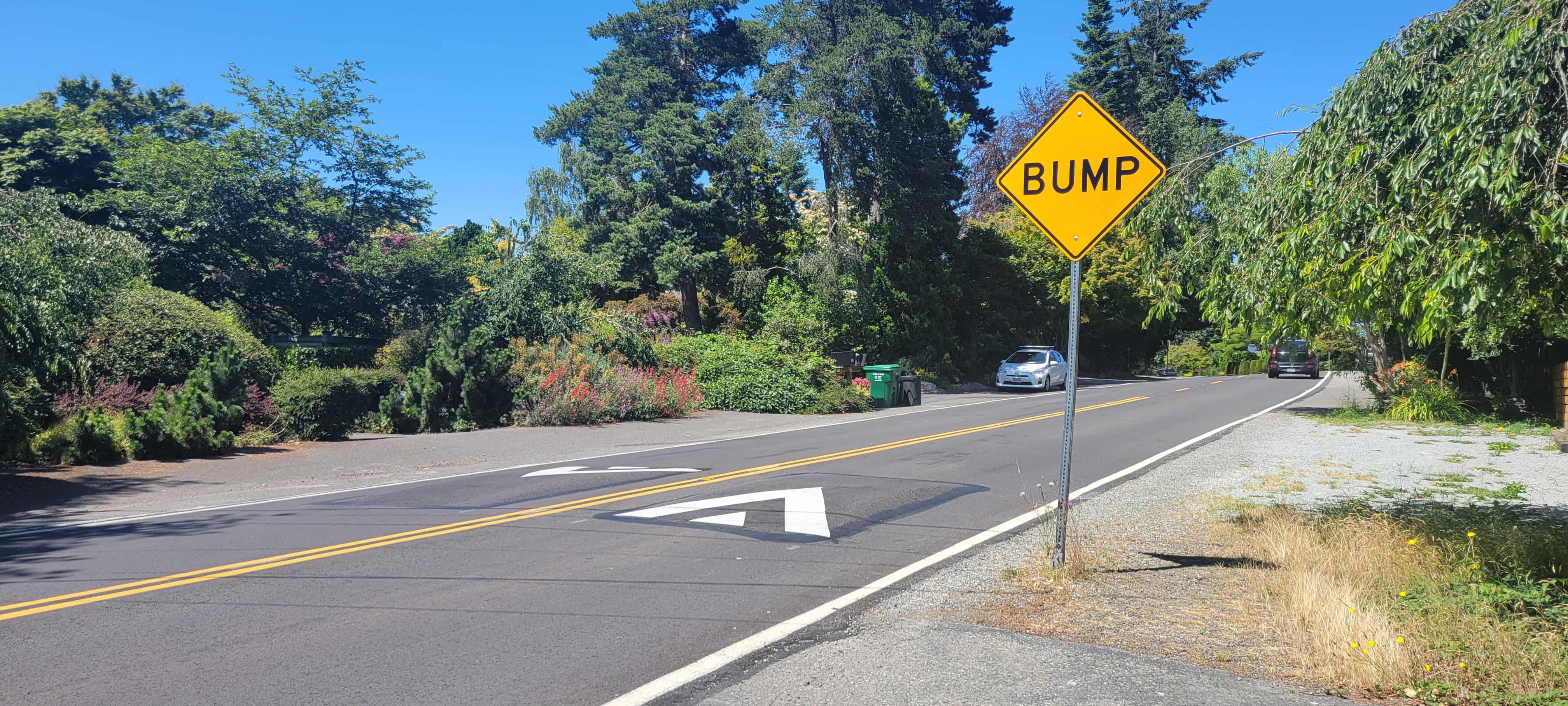 Photo showing speed cushions installed on a neighborhood street with bump sign to notify people driving.