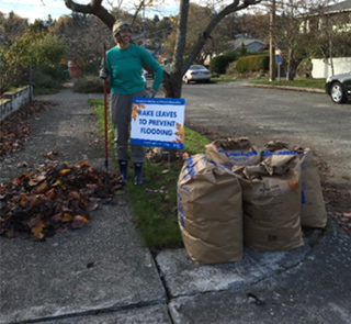 A woman stands on a sidewalk with a rake and several bags of raked leaves.