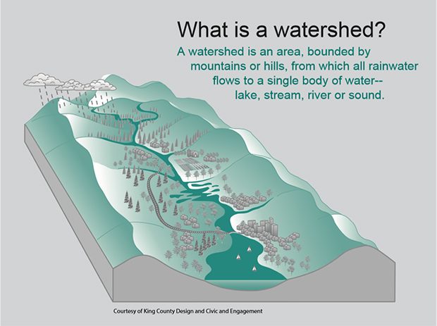 Diagram of the geographic parts of a watershed