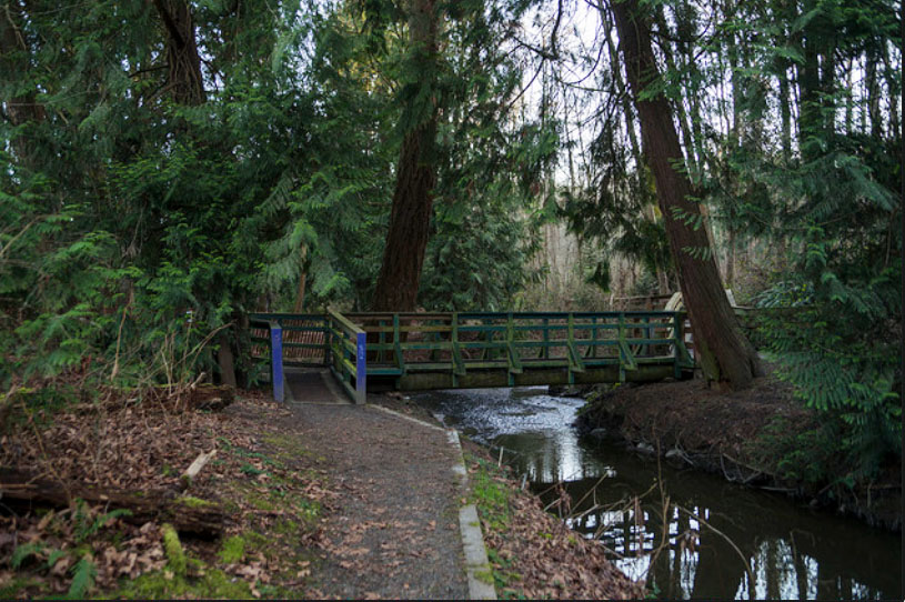 Photo of woods area with a footbridge