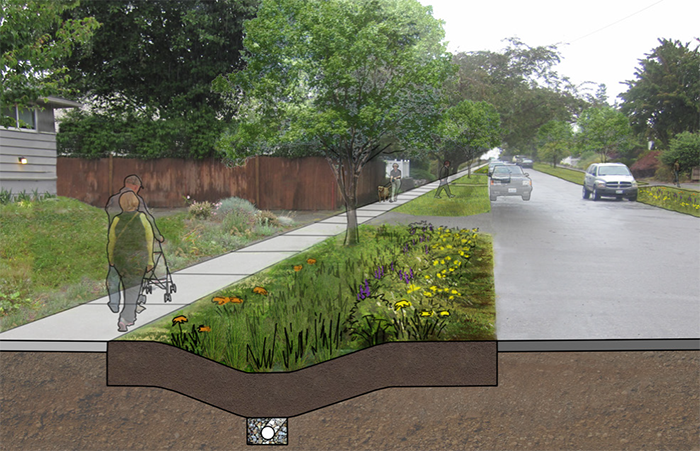 Example of a natural drainage system project a few years after installation