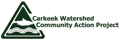 CWCAP logo