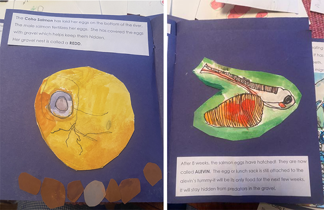 Student artwork of salmon eggs and alevin.
