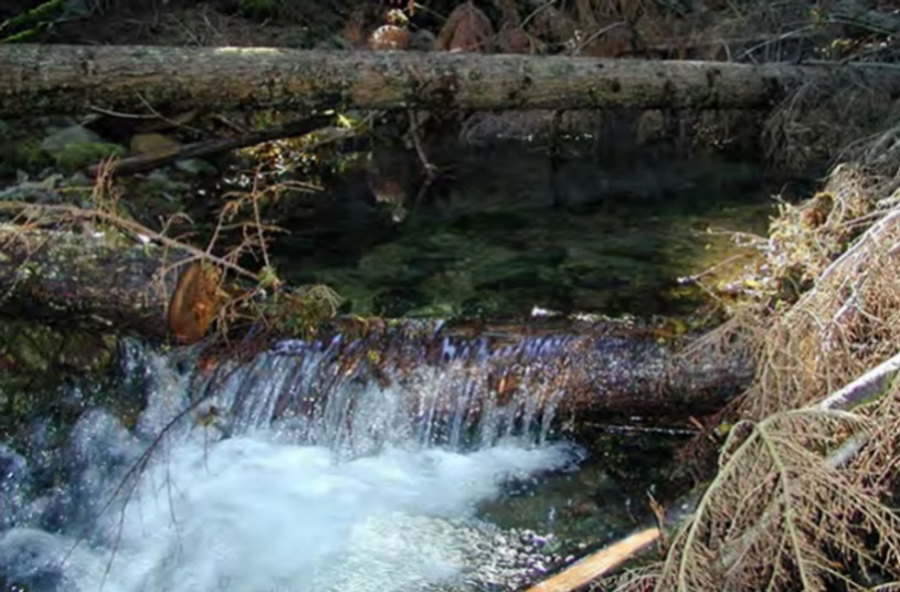 Fallen logs cross a creek causing an area of deep, calm water behind one log and a waterfall and whitewater where water flows over the top of it.