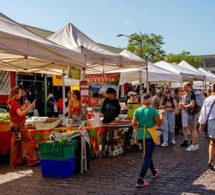 People mingle and shop at an outdoor food market under tents on a sunny day