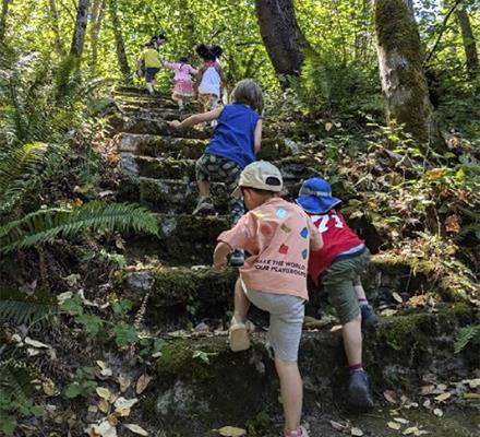 Children in colorful clothing climb steps on a forest trail in Seattle