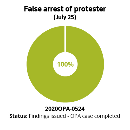 False arrest of protester (July 25)