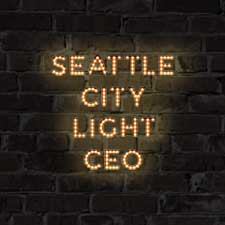 Seattle City Light CEO Confirmation Process