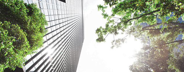 Looking up at a skyscraper from the ground