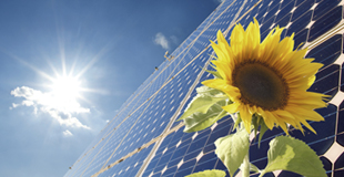 Solar panel with sun in the background and sunflower in the foreground