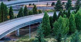 Seattle freeway running through evergreen trees.