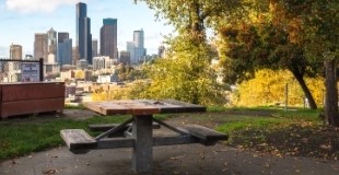 Picnic Table with downtown Seattle in the background
