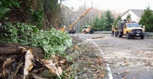 A street is closed due to downed trees and wires while City Light crews make repairs in the background