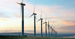 A line of windmills against a light pink sky