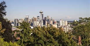 View of the Space Needle and the Seattle skyline, with trees in the foreground