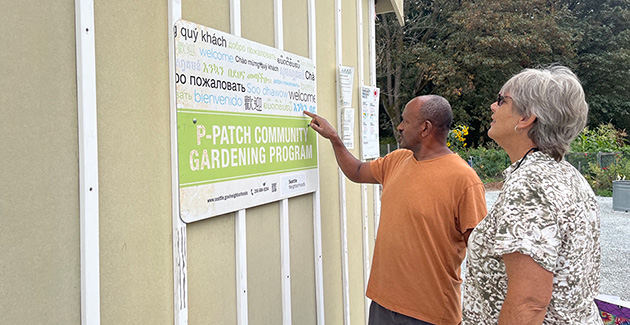 A community gardener and P-Patch coordinator look at a P-Patch sign on a shed at a garden. 