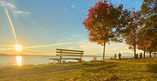 A park bench near autumn-colored trees overlooks a large body of water as the sun sets.