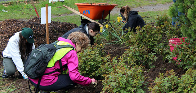 Volunteers tend to a community garden