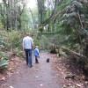 Two people hiking on a trail
