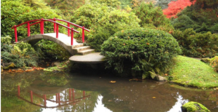 The Japanese stone bridge over a koi pond at Kubota Garden
