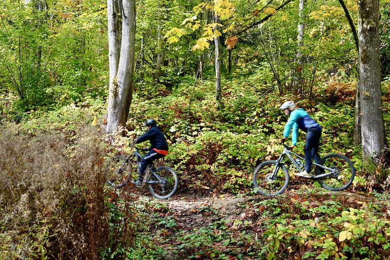 Two cyclists riding mountain bikes along a narrow dirt trail through Cheasty Natural Area wooded forest with green and yellow foliage