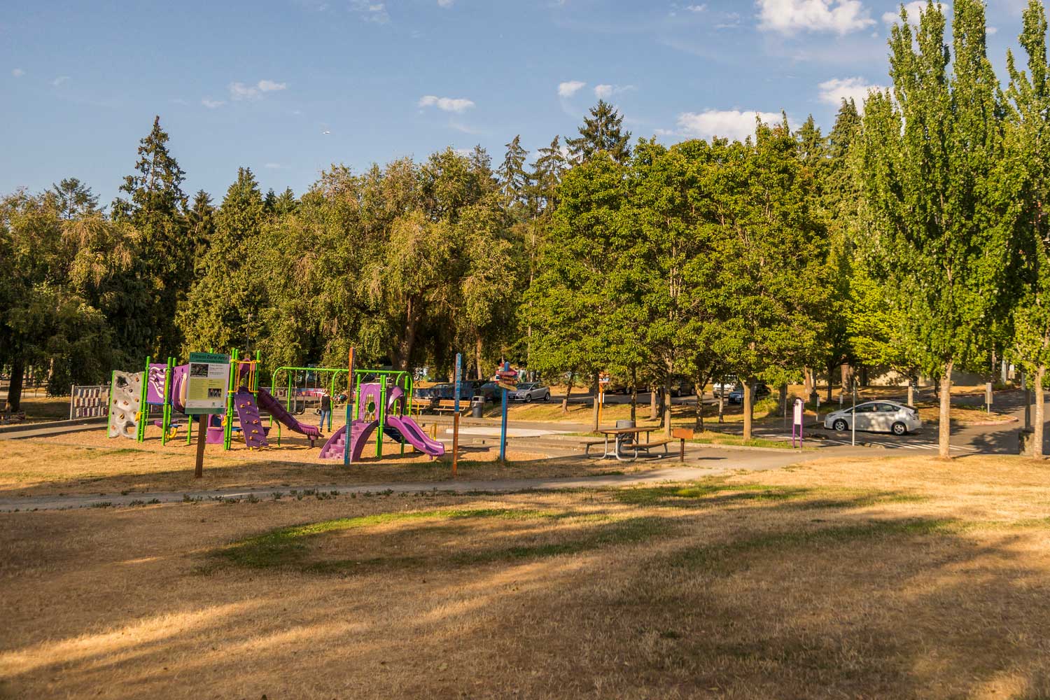 Playground at Delridge Playfield playground and lawn - photo by TIA International Photography
