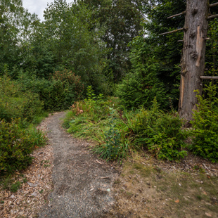 East Montlake Park