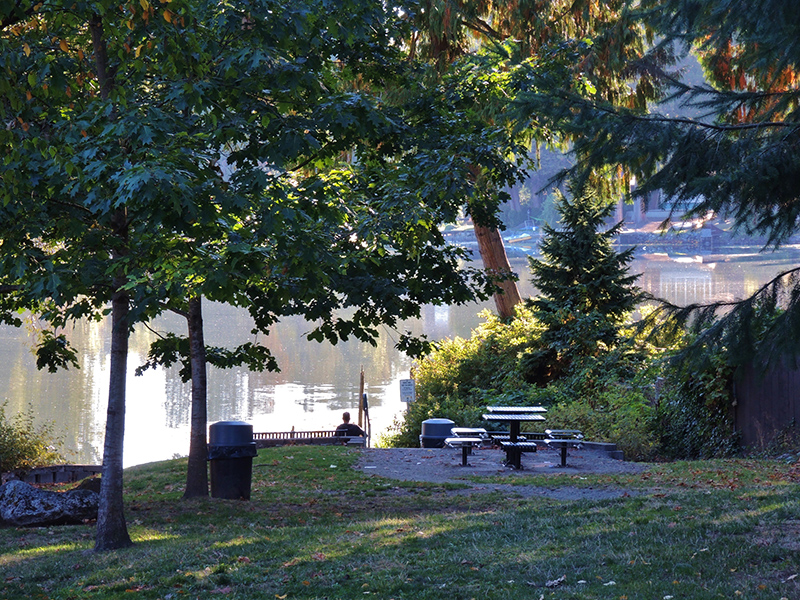 Views at Haller Lake Street End